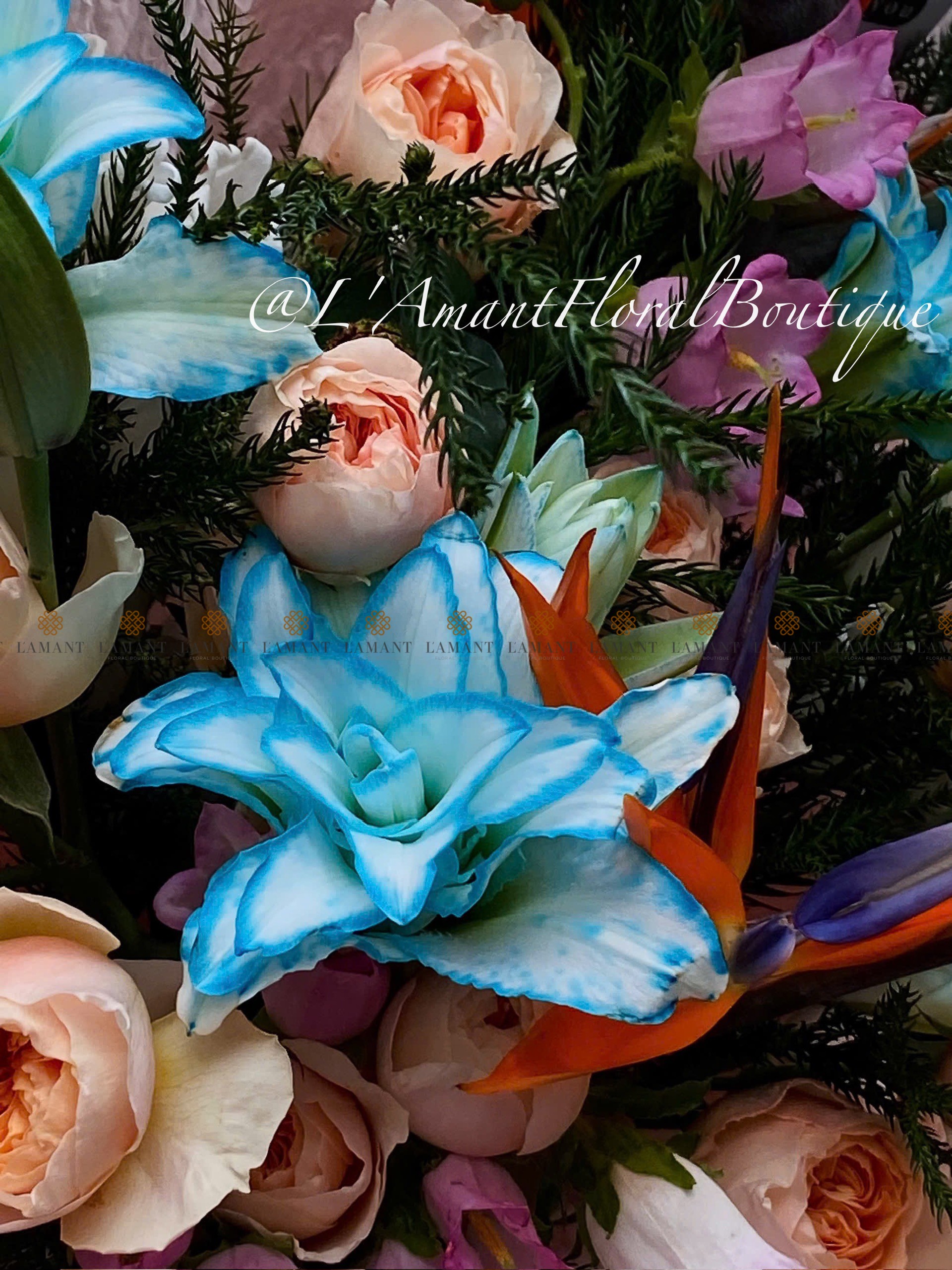 Bó hoa tulip màu hồng A0115 - Hình ảnh 4