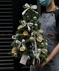 CÂY THÔNG GIÁNG SINH GS0001