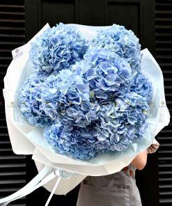 Bó hoa 10 cành cẩm tú cầu nhập khẩu A0211