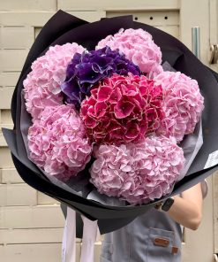 Bó hoa Cẩm tú cầu nhập khẩu A0233