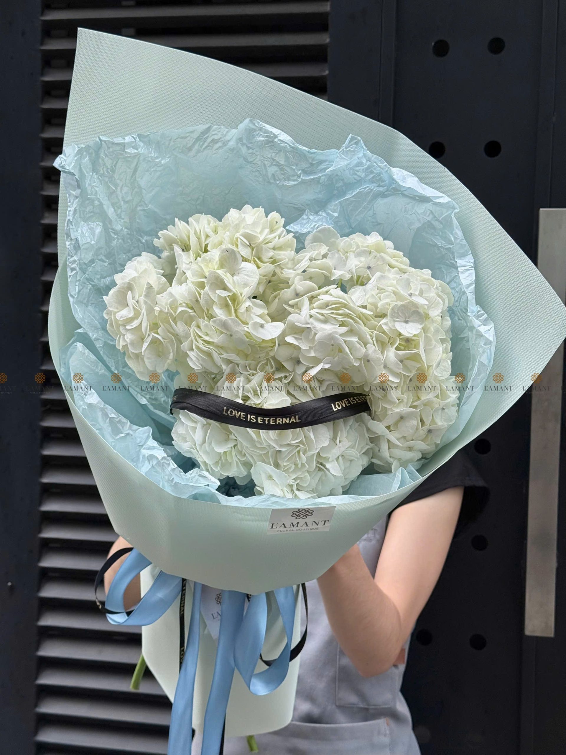 Bó hoa Cẩm tú cầu Trắng Côn Minh A0342 - Hình ảnh 5