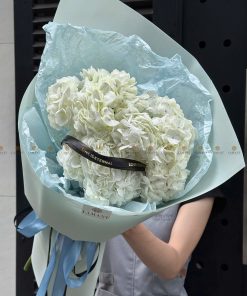 Bó hoa Cẩm tú cầu Trắng Côn Minh A0342