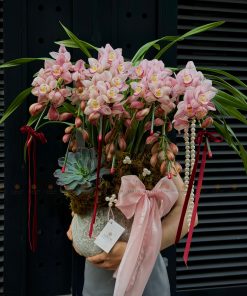 CHẬU ĐỊA LAN 5-6 CÀNH MÀU HỒNG C0004