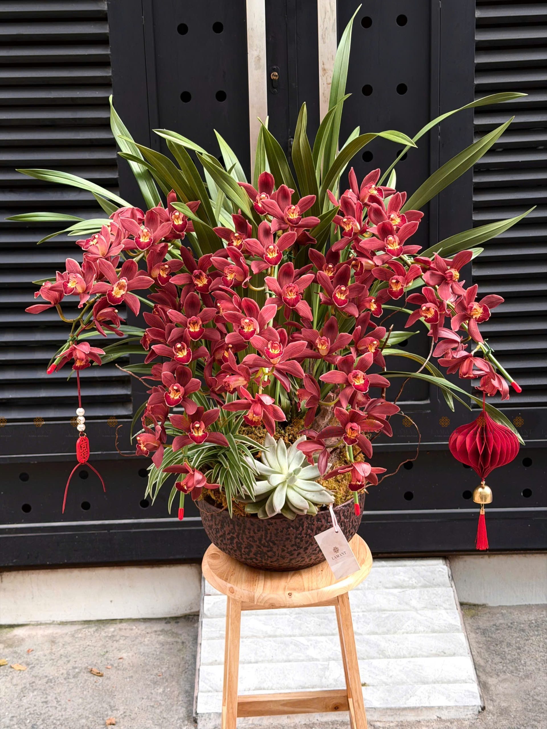 CHẬU ĐỊA LAN 5-6 CÀNH MÀU ĐỎ C0017 - Hình ảnh 7