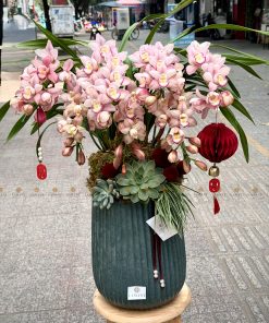 CHẬU ĐỊA LAN 5-6 CÀNH MÀU HỒNG C0012