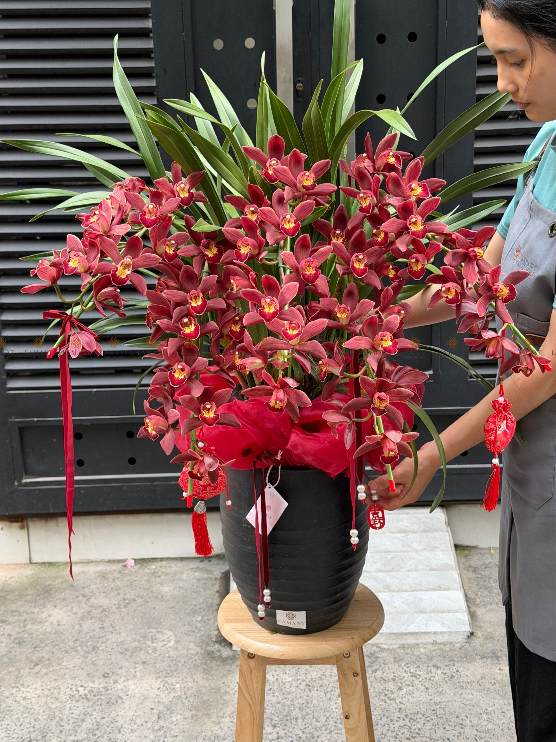 CHẬU ĐỊA LAN 5-6 CÀNH MÀU ĐỎ C0018 - Hình ảnh 5