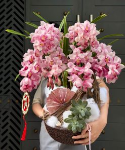 CHẬU ĐỊA LAN 5-6 CÀNH MÀU HỒNG C0007