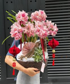 CHẬU ĐỊA LAN 5-6 CÀNH MÀU HỒNG C0008