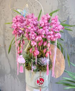 CHẬU ĐỊA LAN 5-6 CÀNH MÀU HỒNG NHẠT C0023