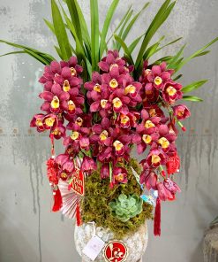 CHẬU ĐỊA LAN 5-6 CÀNH MÀU ĐỎ C0028