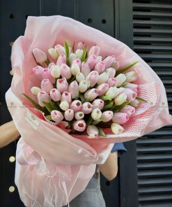 Bó hoa 60 cành tulip hồng mix trắng A0398