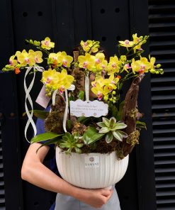 LẴNG HOA CHÚC MỪNG LAN MINI L0057