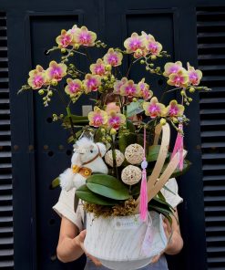 LẴNG HOA CHÚC MỪNG LAN MINI TÍM L0065