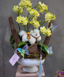 CHẬU HOA CHÚC MỪNG LAN MINI L0068