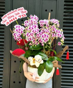 LẴNG HOA CHÚC MỪNG LAN MINI L0074