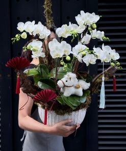 LẴNG HOA CHÚC MỪNG LAN MINI L0083