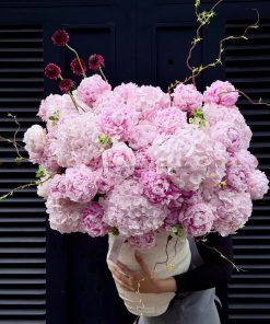 CHẬU HOA 40 CÀNH PEONY SARAH MIX TÚ CẦU HỒNG NHẠT L0099