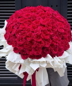 Bó hoa 200 cành hồng Ohara đỏ A0523